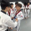 한국체대우리태권도 이미지