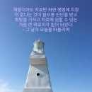pet66머6970 | 2007년 9월 - 서울대병원 전원 결정 - 내 생애 첫 골수검사
