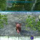 더 하이엘(THE HYEL) | [테라] 테라 리뷰, 2011년 화려한 그래픽과 프리타겟팅의 MMORPG 게임 테라 오픈베타