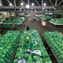 하나농산물 이미지