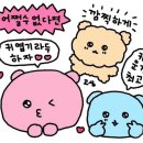 클로버과일 이미지