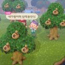 채은병 이미지