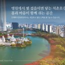 양재서울이비인후과의원 이미지