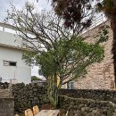 하도여관 이미지