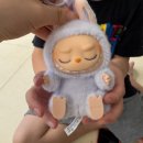 [일상] 팝마트 라부부정품 나랑 같이 놀자 시크릿 당첨 후기 내 돈 내산