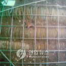 에스케이텔레콤태안 이미지
