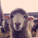 가구목장 이미지