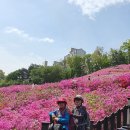 4월26일(화) 군포철쭉 - 반월 호수 이미지