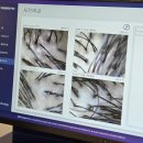 보령우체국 4층 화장실 | 영등포 문제성두피관리, 웰킨 두피탈모센터 영등포점 두피스케일링 솔직후기