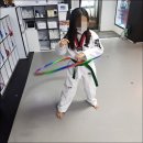 경희대 최강 MTA 태권도 이미지