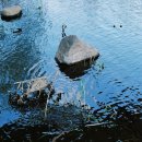 용왕쇼파 네이버블로그