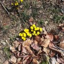 복수농장 이미지