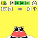 마루네안경 이미지