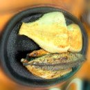정가네아구찜해물 | 청주맛집 추천 | 생선구이와 주말 아구찜, 둘 다 놓치면 후회