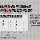 H 밸런스 이미지