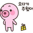 진한농장 네이버블로그