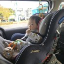 제주가족사랑카시트 네이버블로그
