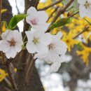 대찬특장공업 이미지