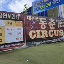 동춘서커스 | ​[대부도 가볼만한곳] 90분 순삭! 아이랑 다녀온 동춘서커스 솔직후기 (내돈내산)