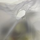 경기도 양평 돈까스 맛집 용문 브라운스 포장 후기