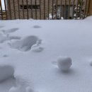 풍전공인중개사사무소 이미지