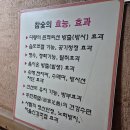 치악산한증막 | 치악산 한증막 원주 찜질방 - 치악산참숯가마