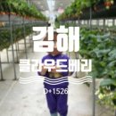 혜인농장 네이버블로그