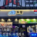 발산 | [#고독한 최집사] 발산 내돈내산 후기 / 요물편