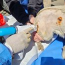 슬립메디컬 이미지