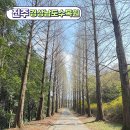 경상남도수목원전망대 이미지