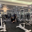 바디코치 피티(PT) 필라테스 분당미금점 | 미금역 헬스? 여성전용 헬스장 필라테스 PT