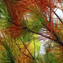 남후초교 이미지