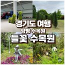 양평 들꽃 수목원 입장료 주차장 썰매 안내 및 솔직 후기