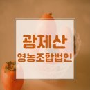 광제산영농조합법인 이미지