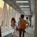 주식회사 아이웨이비젼 | 엄마랑 아들 둘의 싱가포르&amp;말레이시아 2주 살기 마리나 베이 샌즈 가든스 바이 더 베이