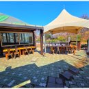 명가오리 이미지