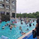 도미니클라바 이미지