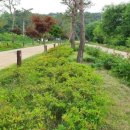 새마을기념비 이미지