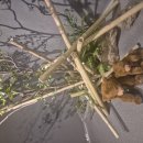 By the win | [종각 루원 by 락희안 방문 후기] 고급 중식 다이닝, 비즈니스 모임에 좋은 프리미엄 중국 레스토랑