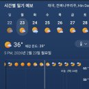 그린월드 이미지