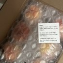 그리미농원 복숭아 _ 특히 대극천복숭아 리얼후기! 딱딱이 복숭아의 당도에 반하다