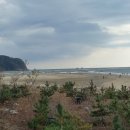 석양을 품은 물고기 이미지