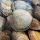 풀빛소리 | 경남 고성 1인당 1만원 가성비 촌캉스! 솥뚜껑통대창 구워먹고 파전에 막걸리먹은 [풀빛고성] 🦖