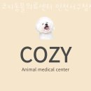 코지동물의료센터 서구청점 이미지