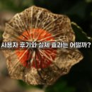 (주)아모스 | 아모스 컬링 에센스 2X로 더 예쁜 컬을 완성하는 비밀!