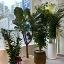 성북-길음-301 | 정릉 헬스장 추천 | 최신식 프리미엄 시설의 짐아웃핏 정릉점 오픈!