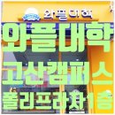 폴리프라자1 이미지