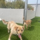 포우농장 이미지