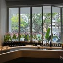 이솝포토 이미지