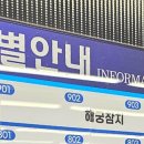 해궁참치 이미지